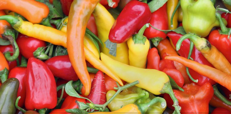 A pile of red, orange and yellow spicy peppers.